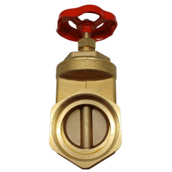 Válvula de compuerta de 4"