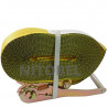 Eslinga 2" 9.5 mts 3000kg
