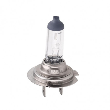 Ampolleta H7  12V  55W