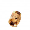 Unión Recta Macho Hembra 3/8"