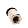 Conector Hembra Recto 12mm x 1/4" npt